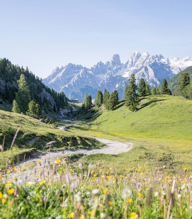5-Sterne-Sporthotel in Südtirol gesucht? Wanderweg durch grüne Wiesen mit bunten Blumen und Bergen im Hintergrund