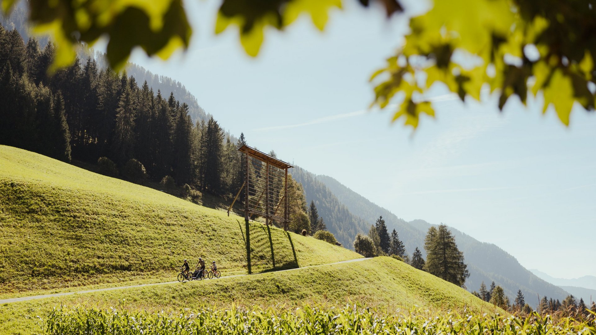 Drei Radfahrer fahren auf einem Pfad im sonnigen, bergigen Tal mit grünen Wiesen