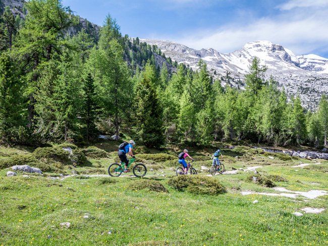 Drei Mountainbiker fahren auf einem Pfad durch eine Berglandschaft mit Nadelbäumen