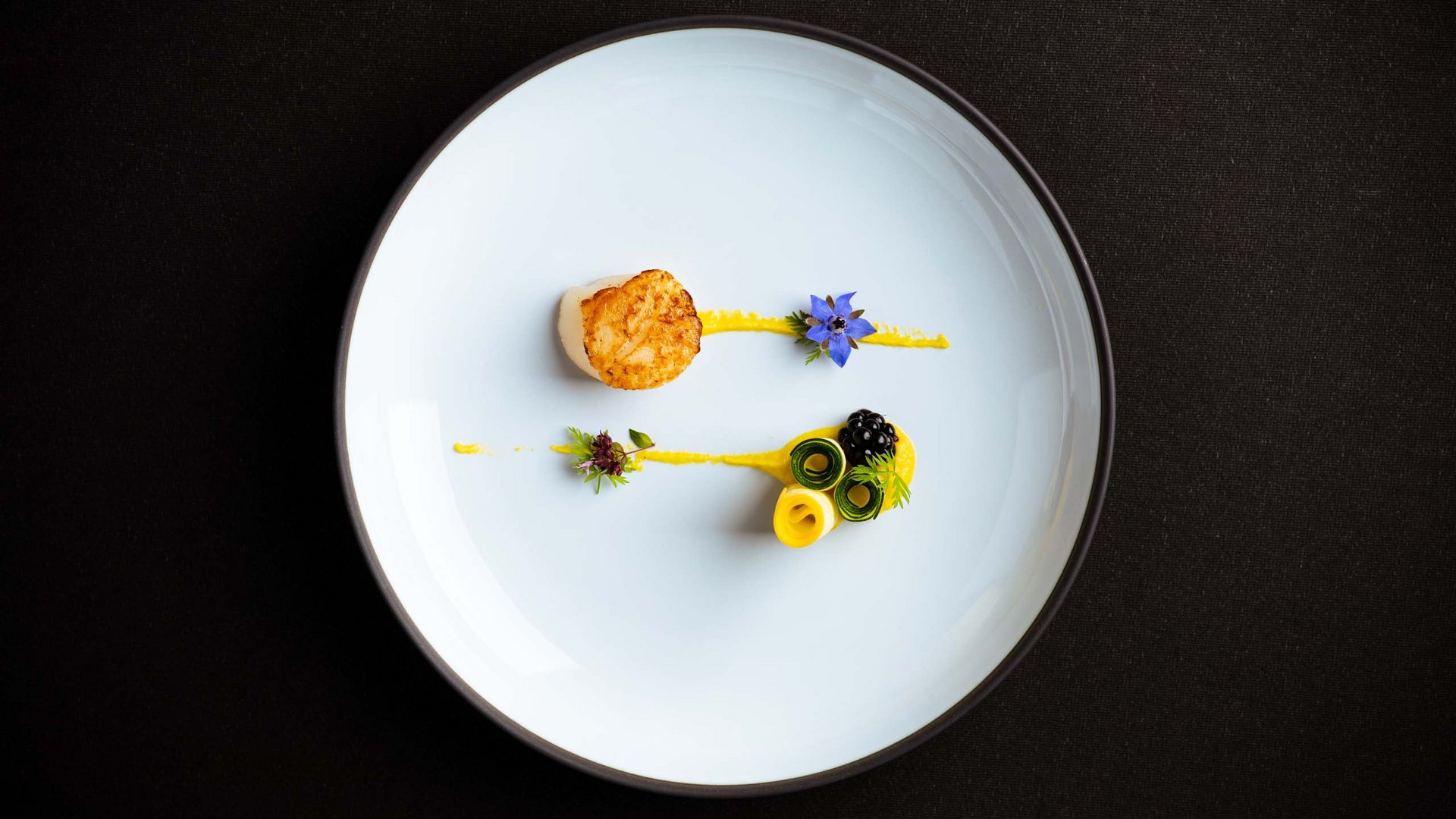Kunstvoll angerichtete Jakobsmuschel mit gelber Sauce und essbaren Blumen auf weißem Teller