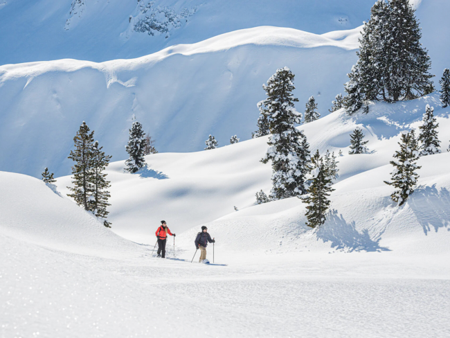Secrets Due persone che fanno racchette da neve in paesaggio invernale innevato con pini