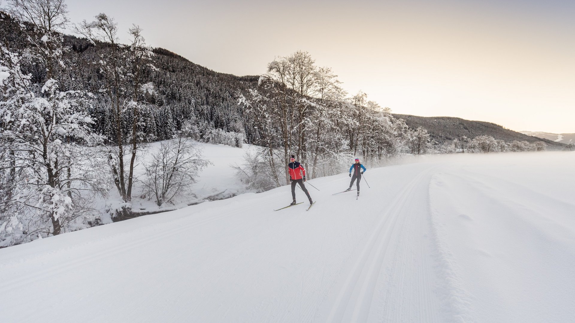 Zwei Langläufer skifahren auf verschneiter Loipe bei Bewaldung