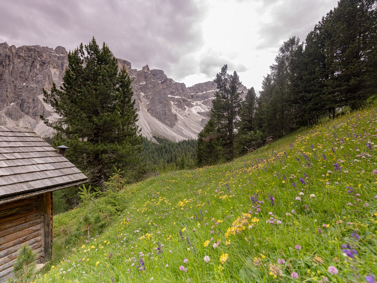 Almhütte mit Bergwiese und Felsen unter bewölktem Himmel