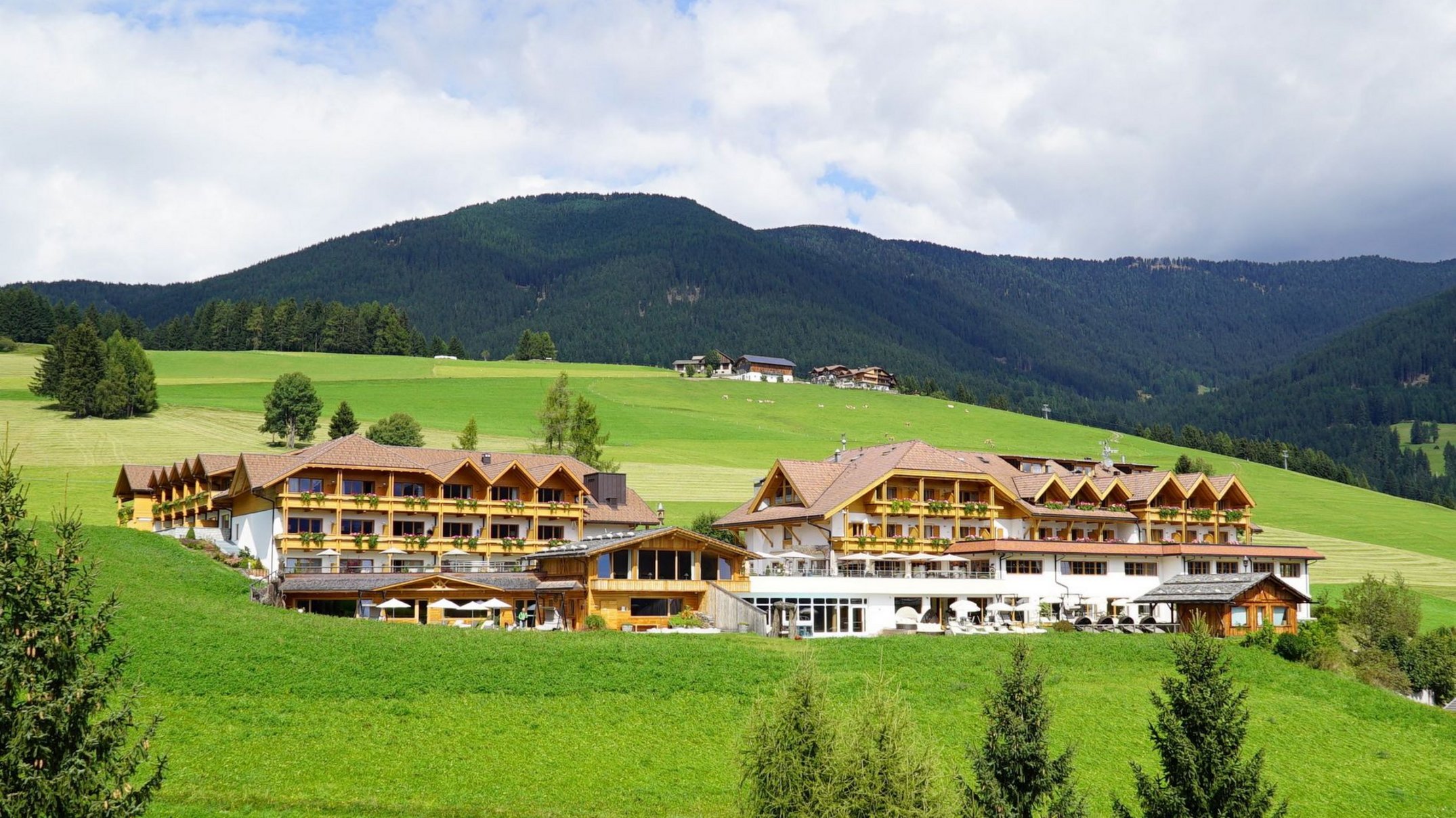 Alpen Tesitin: una storia da raccontare Hotel in paesaggio verde con montagne sullo sfondo