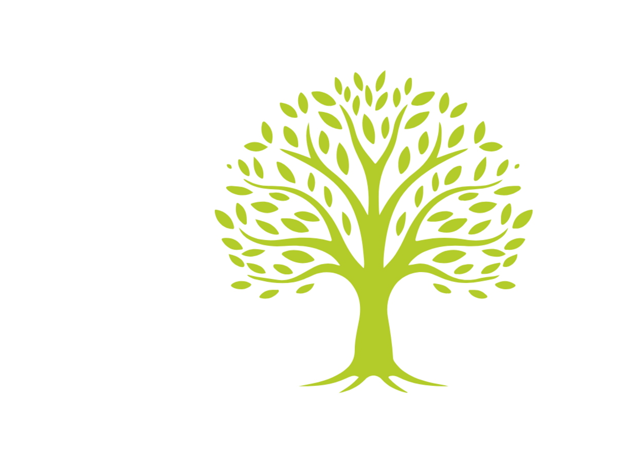 Car rental in Val Pusteria/Pustertal, Dolomites Green stylized tree with many leaves on white background