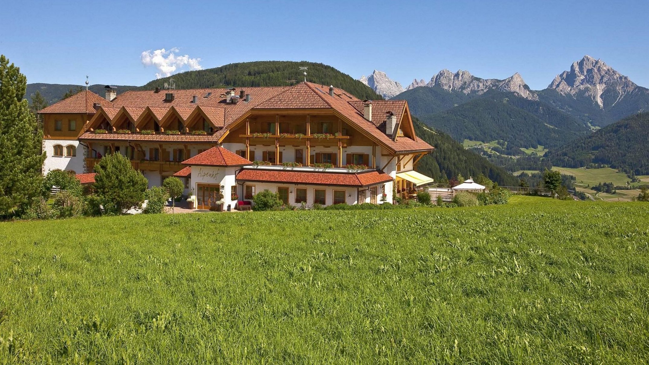 Alpen Tesitin: una storia da raccontare Fattoria alpina con prato verde e montagne sullo sfondo