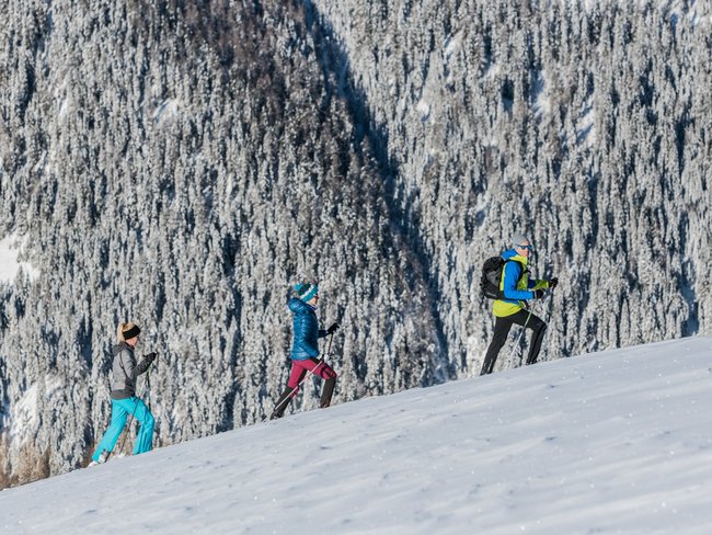 Three people hiking with poles on snowy slope in front of snowy forest
