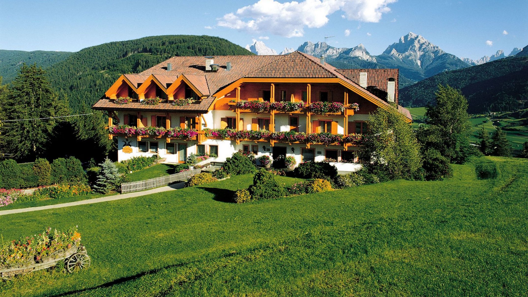 Alpen Tesitin: una storia da raccontare Hotel alpino in paesaggio verde con fiori sui balconi e panorama montano