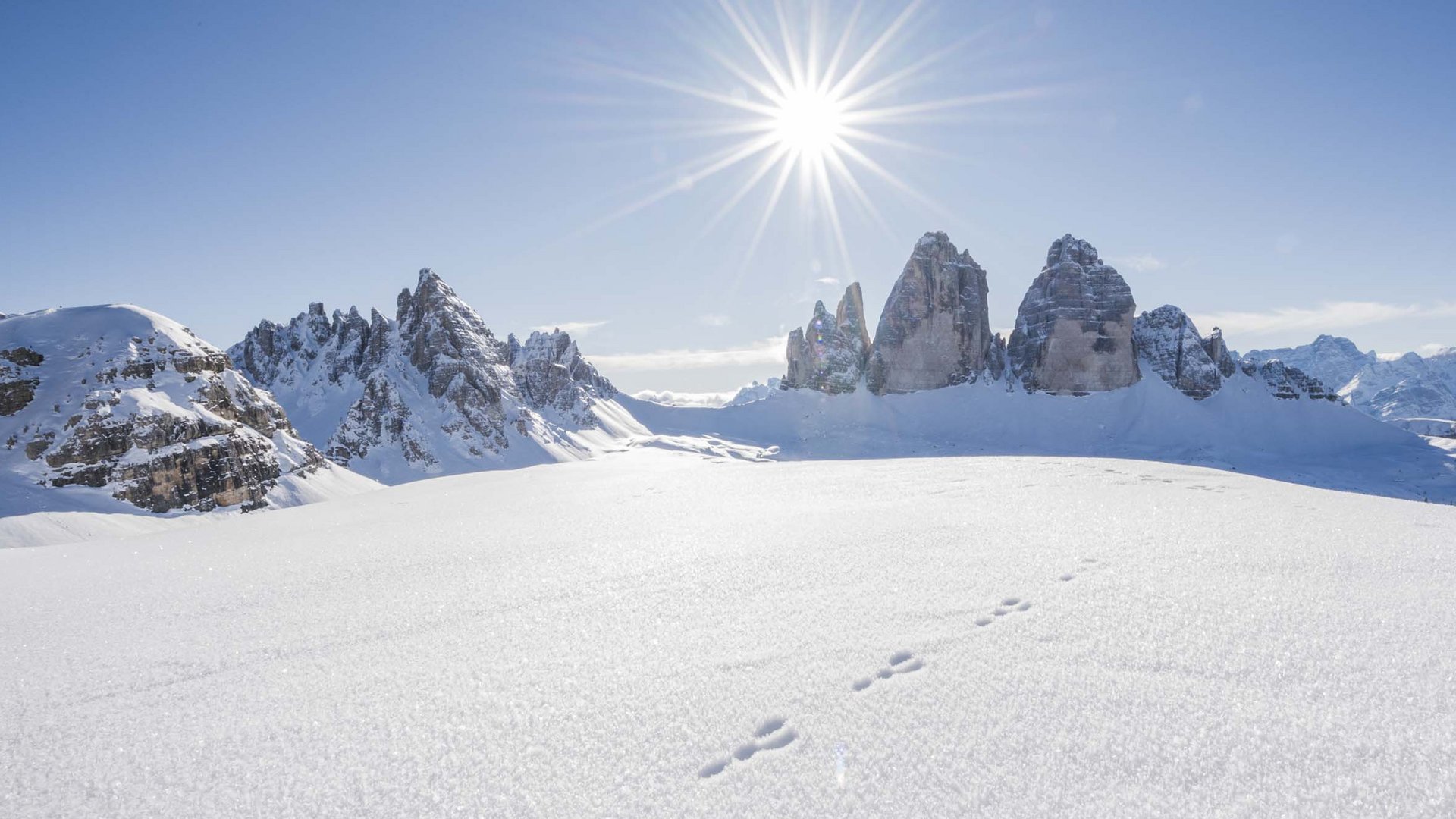 Tierspuren im Schnee vor sonnigen Dolomitenbergen