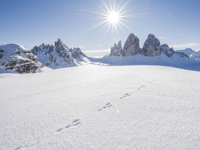 5-Sterne-Sporthotel in Südtirol gesucht? Tierspuren im Schnee vor sonnigen Dolomitenbergen