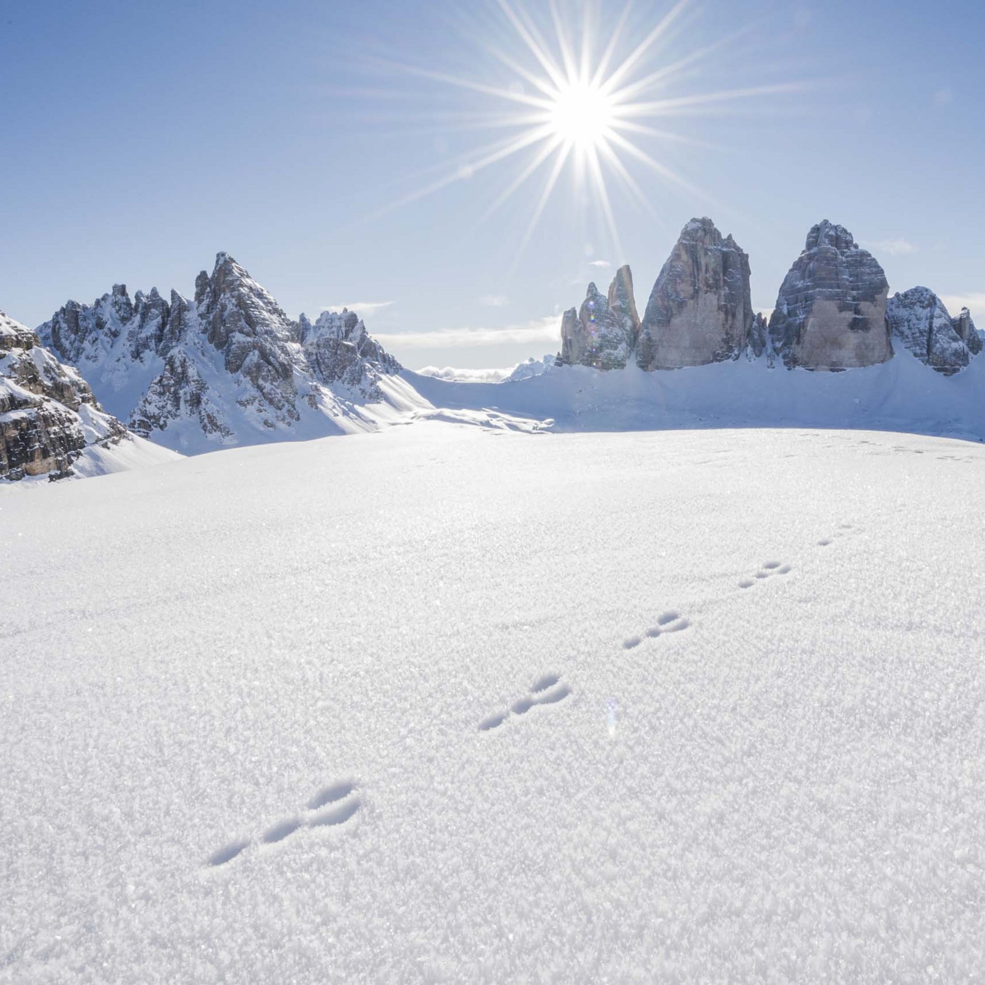 Impronte di animali sulla neve davanti alle Dolomiti soleggiate